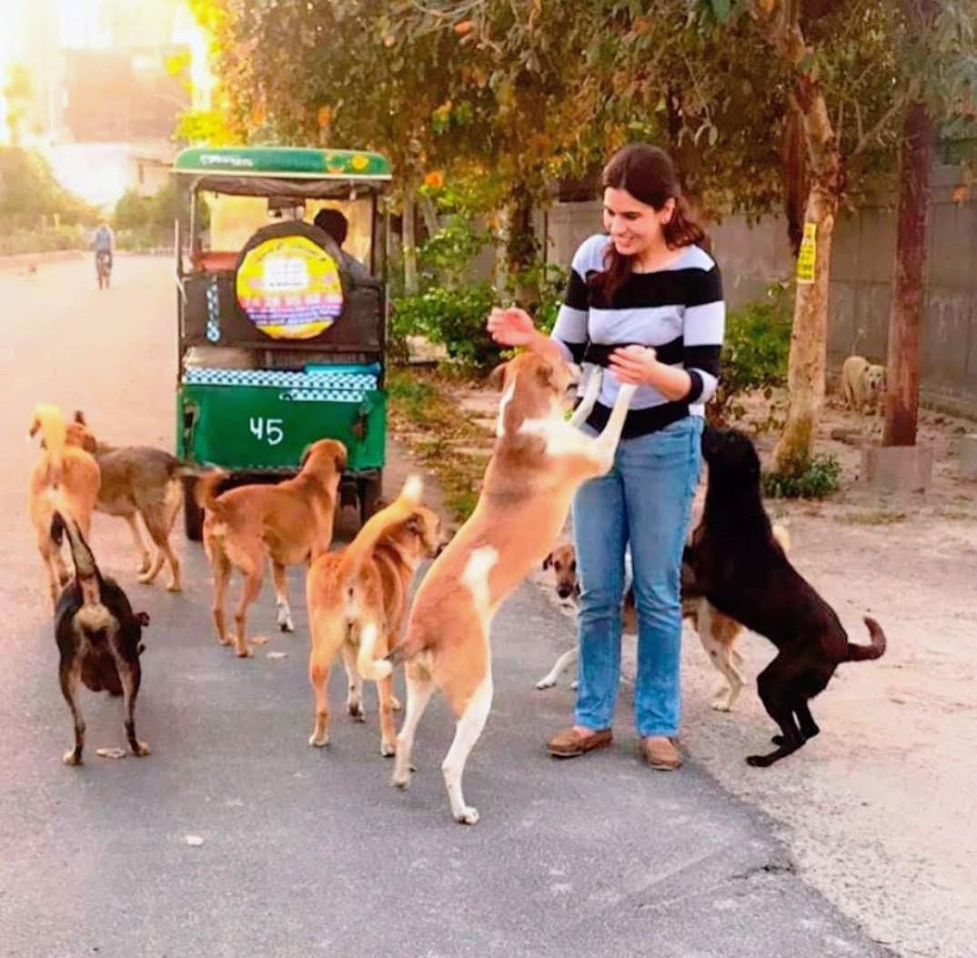 Volunteer helping animals